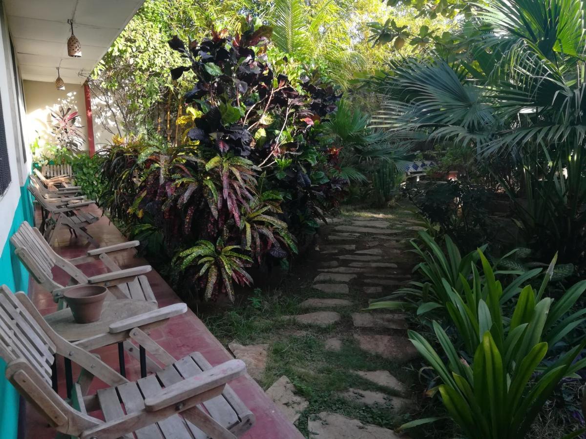 Hostal Harvest House Leon Bagian luar foto