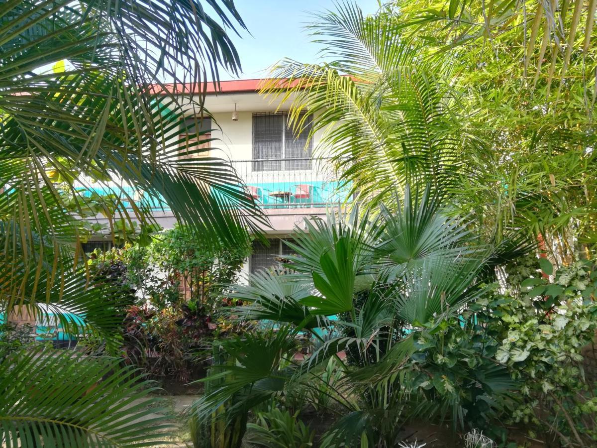 Hostal Harvest House Leon Bagian luar foto