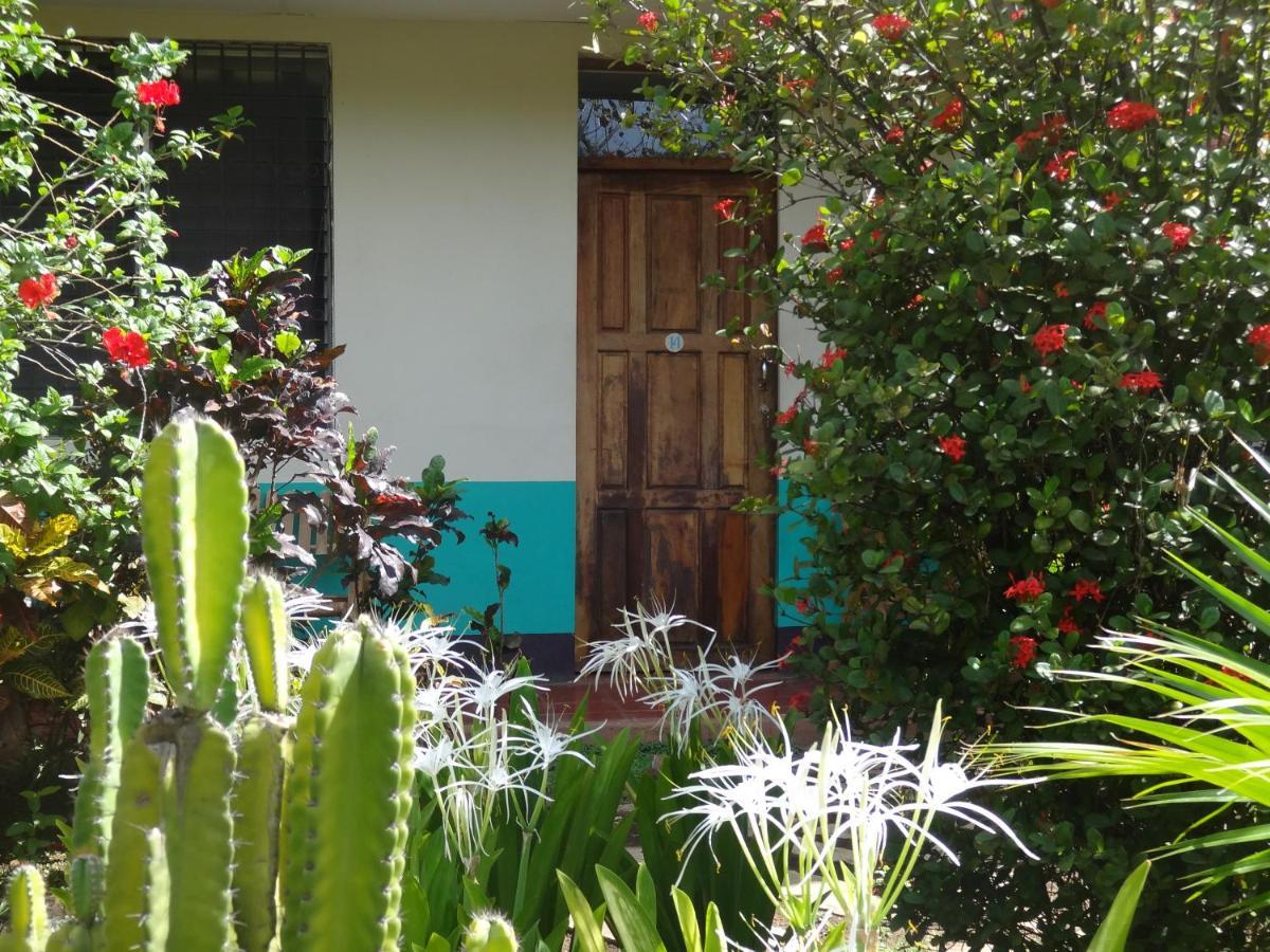 Hostal Harvest House Leon Bagian luar foto