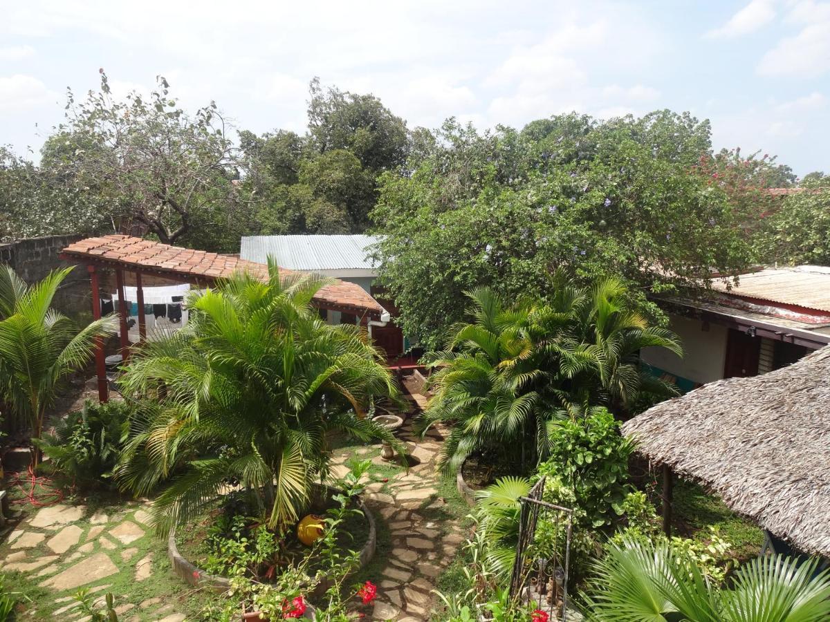 Hostal Harvest House Leon Bagian luar foto